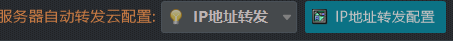 封挂登陆器-选择IP地址转发